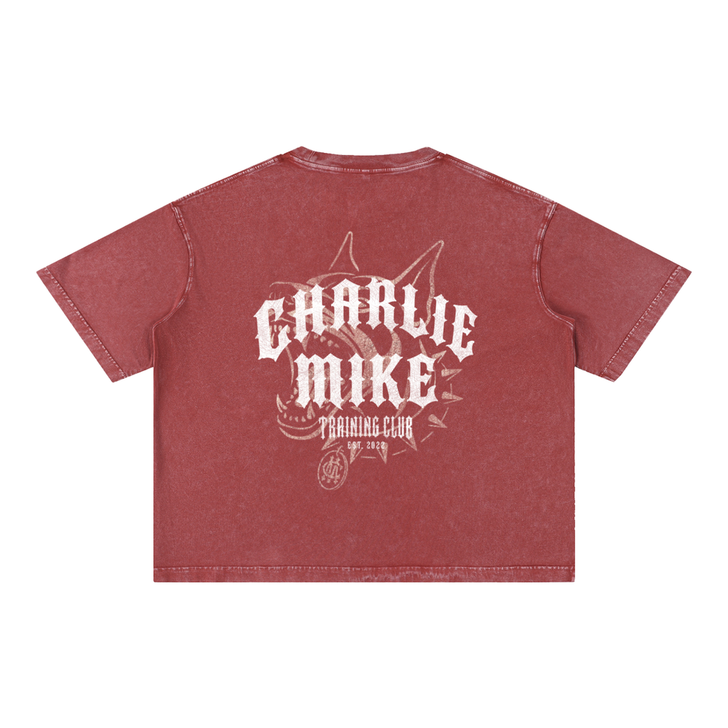 CMTC Washed Boxy Tee (Light Graphic)