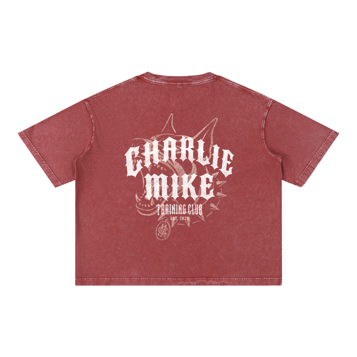 CMTC Washed Boxy Tee (Light Graphic)
