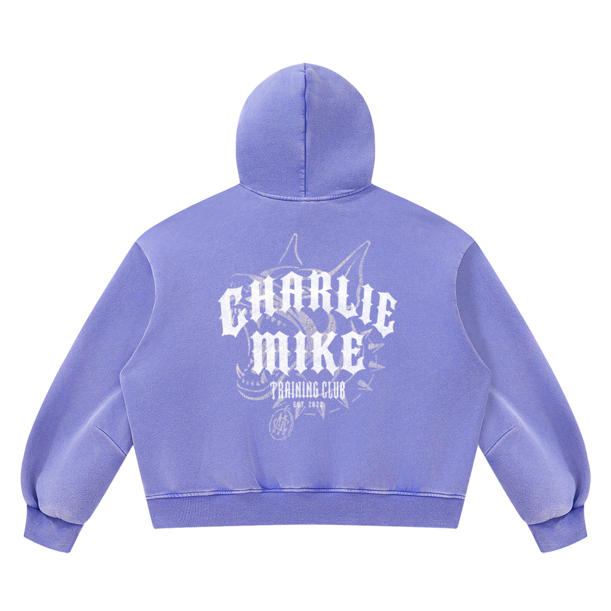 CMTC Boxy Vintage Washed Hoodie