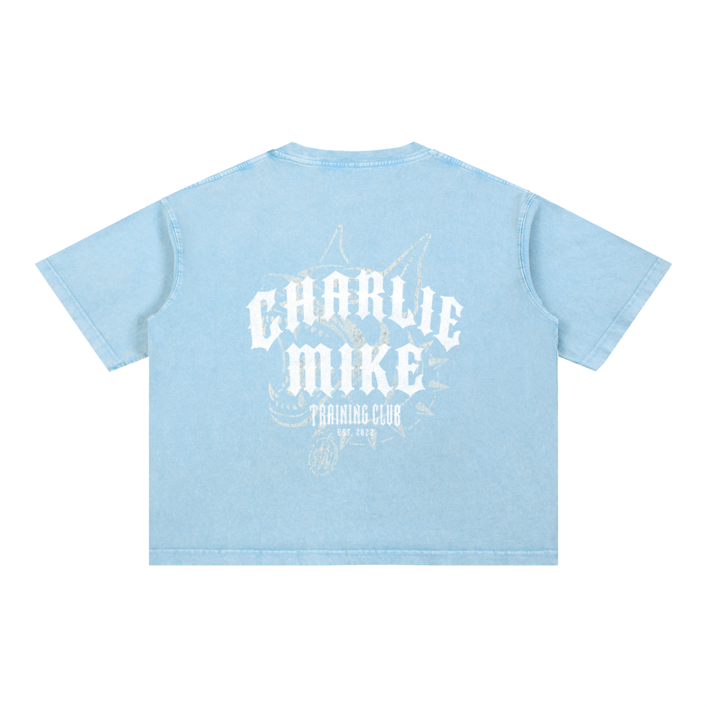CMTC Washed Boxy Tee (Light Graphic)
