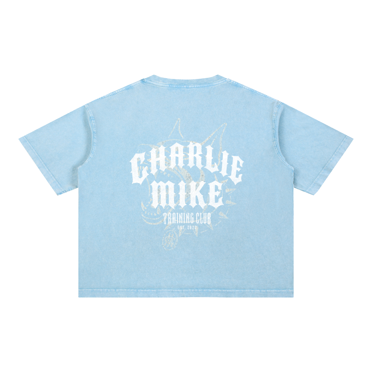 CMTC Washed Boxy Tee (Light Graphic)