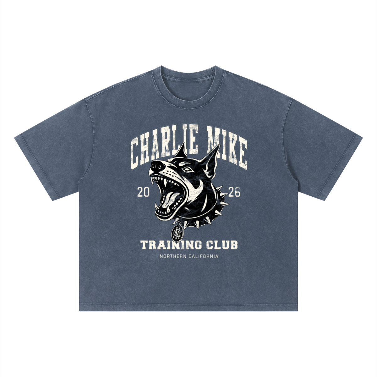 Kyro’s Washed Boxy CMTC Tee