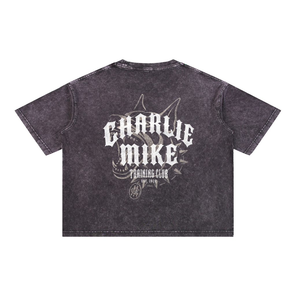 CMTC Washed Boxy Tee (Light Graphic)