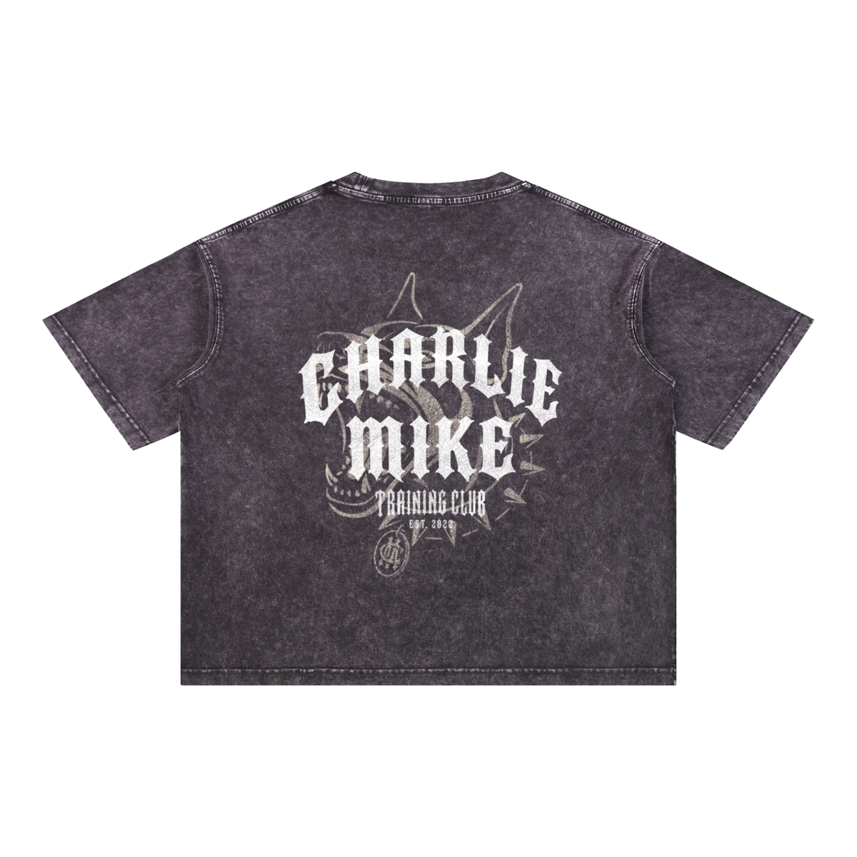 CMTC Washed Boxy Tee (Light Graphic)