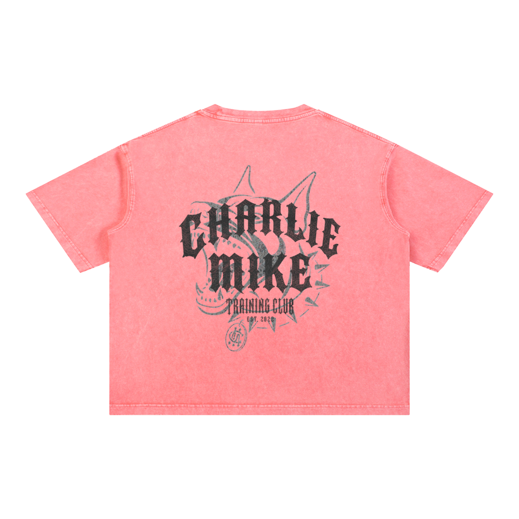 CMTC Washed Boxy Tee (Dark Graphic)