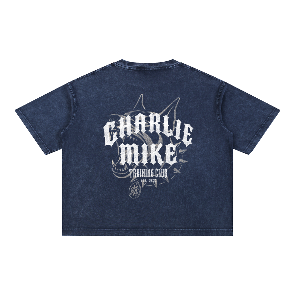 CMTC Washed Boxy Tee (Light Graphic)
