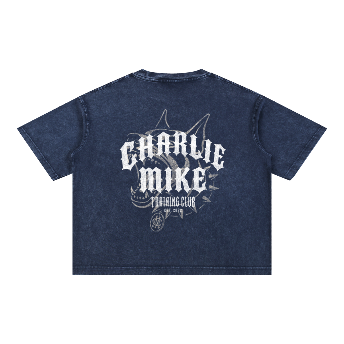 CMTC Washed Boxy Tee (Light Graphic)