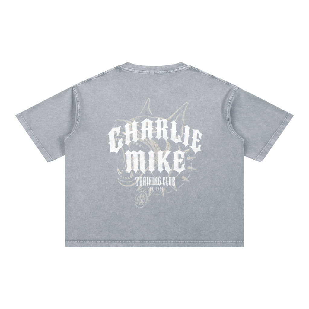 CMTC Washed Boxy Tee (Light Graphic)