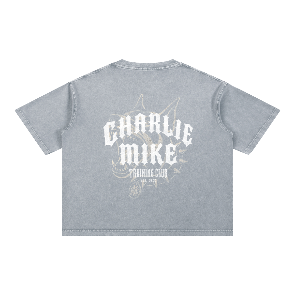CMTC Washed Boxy Tee (Light Graphic)