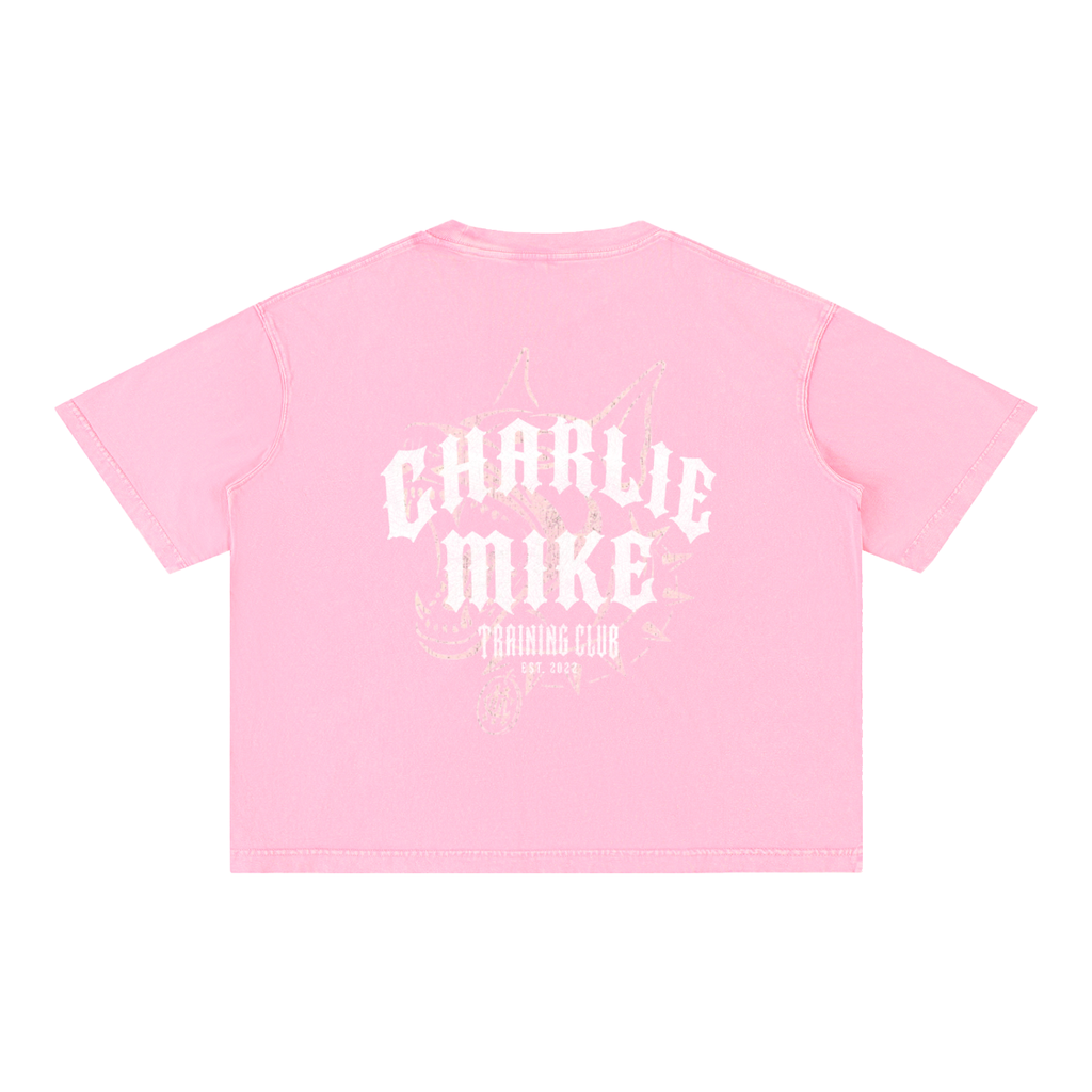 CMTC Washed Boxy Tee (Light Graphic)
