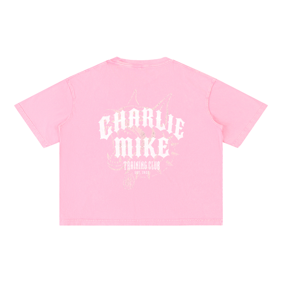 CMTC Washed Boxy Tee (Light Graphic)