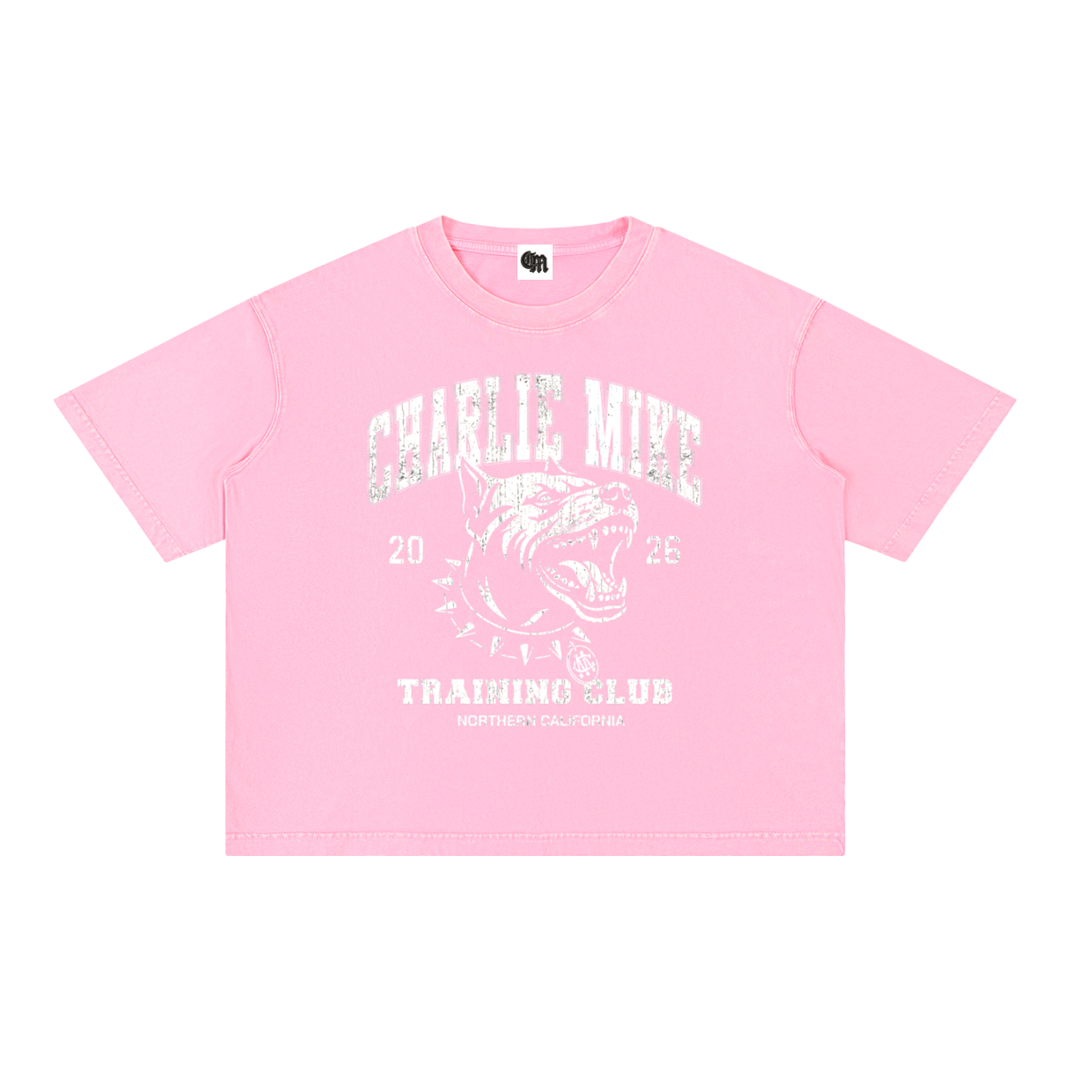 CMTC Washed Kaleah Tee