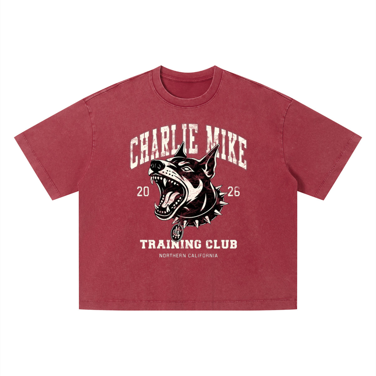 Kyro’s Washed Boxy CMTC Tee
