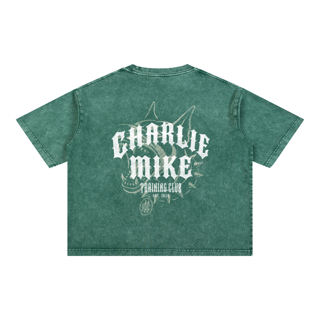 CMTC Washed Boxy Tee (Light Graphic)