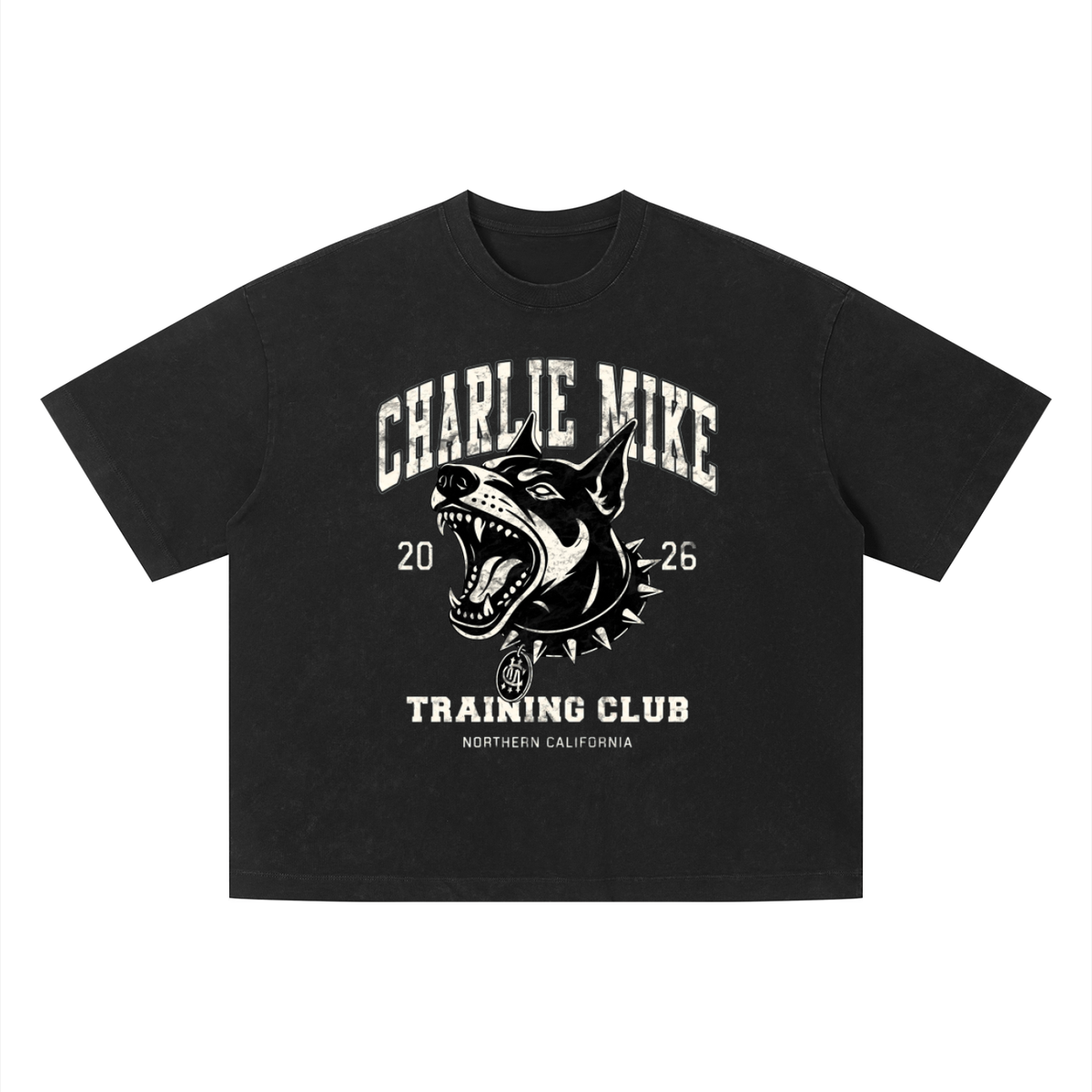 Kyro’s Washed Boxy CMTC Tee