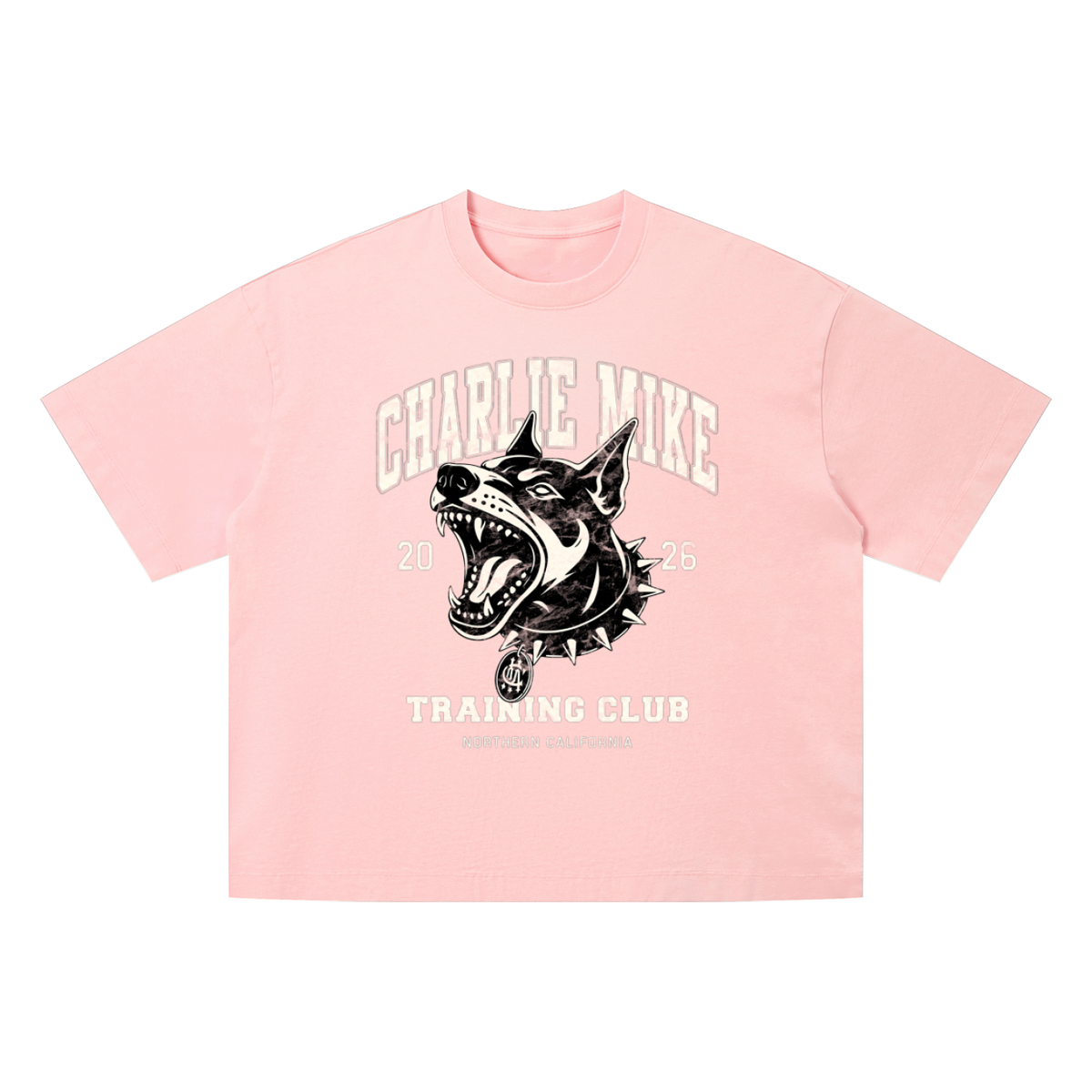 Kyro’s Washed Boxy CMTC Tee