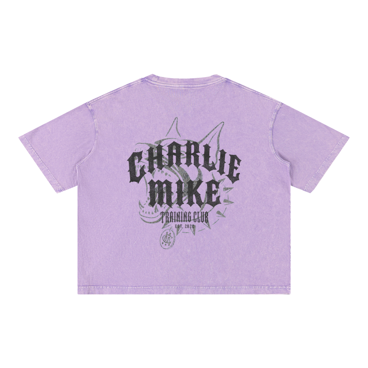 CMTC Washed Boxy Tee (Dark Graphic)