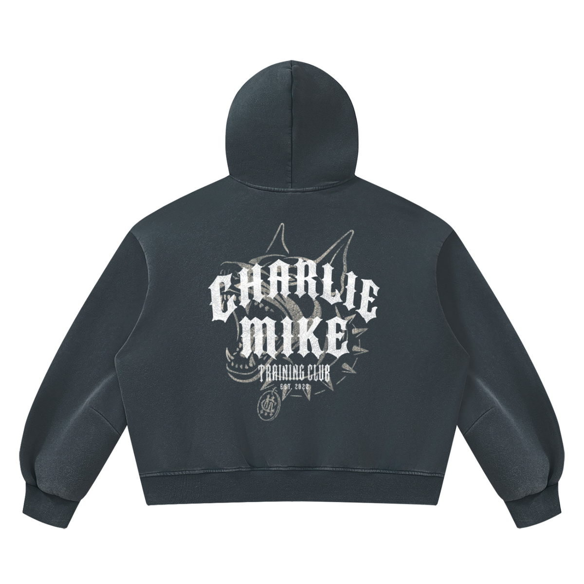 CMTC Boxy Vintage Washed Hoodie