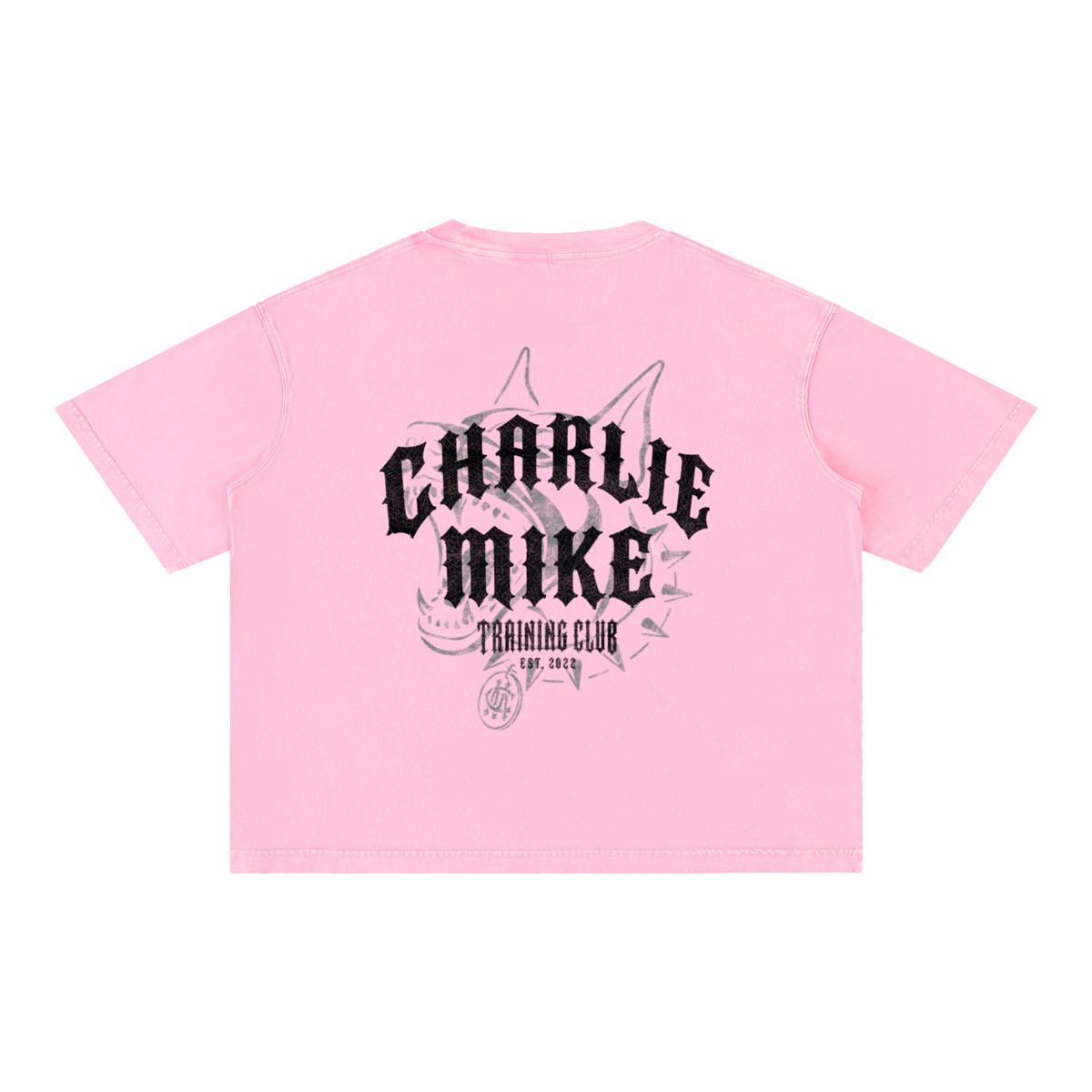CMTC Washed Boxy Tee (Dark Graphic)