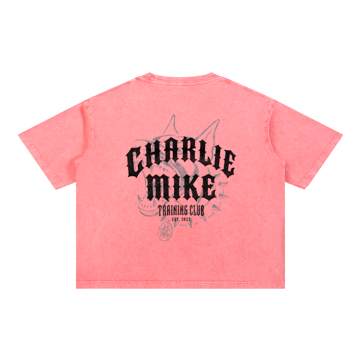 CMTC Washed Boxy Tee (Dark Graphic)