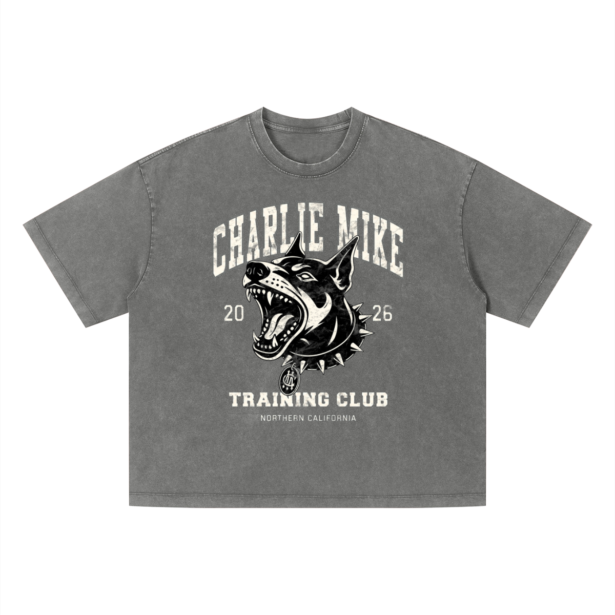 Kyro’s Washed Boxy CMTC Tee