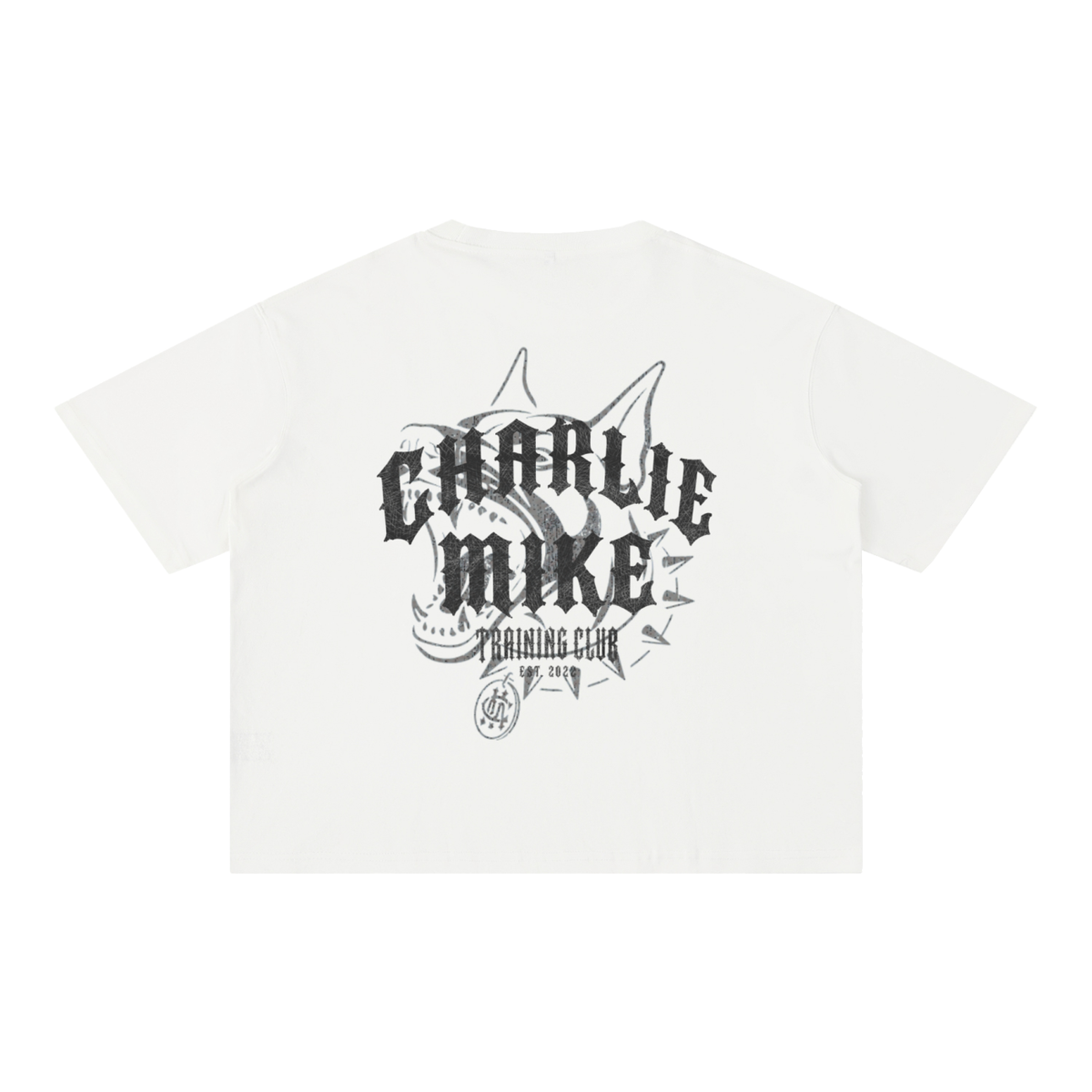 CMTC Washed Boxy Tee (Dark Graphic)