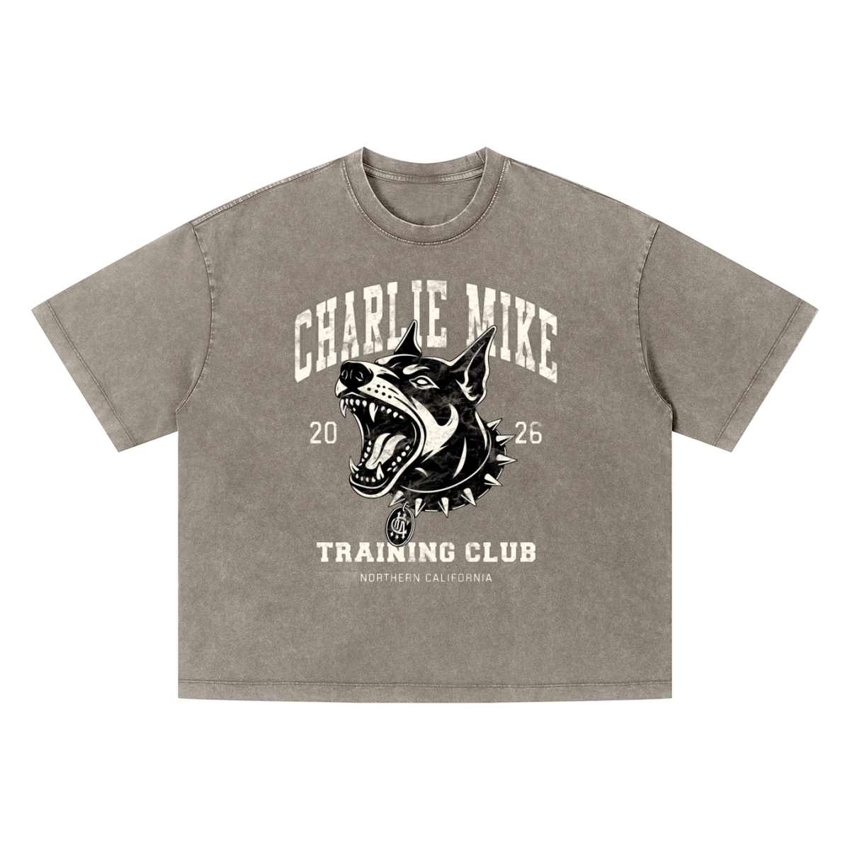 Kyro’s Washed Boxy CMTC Tee