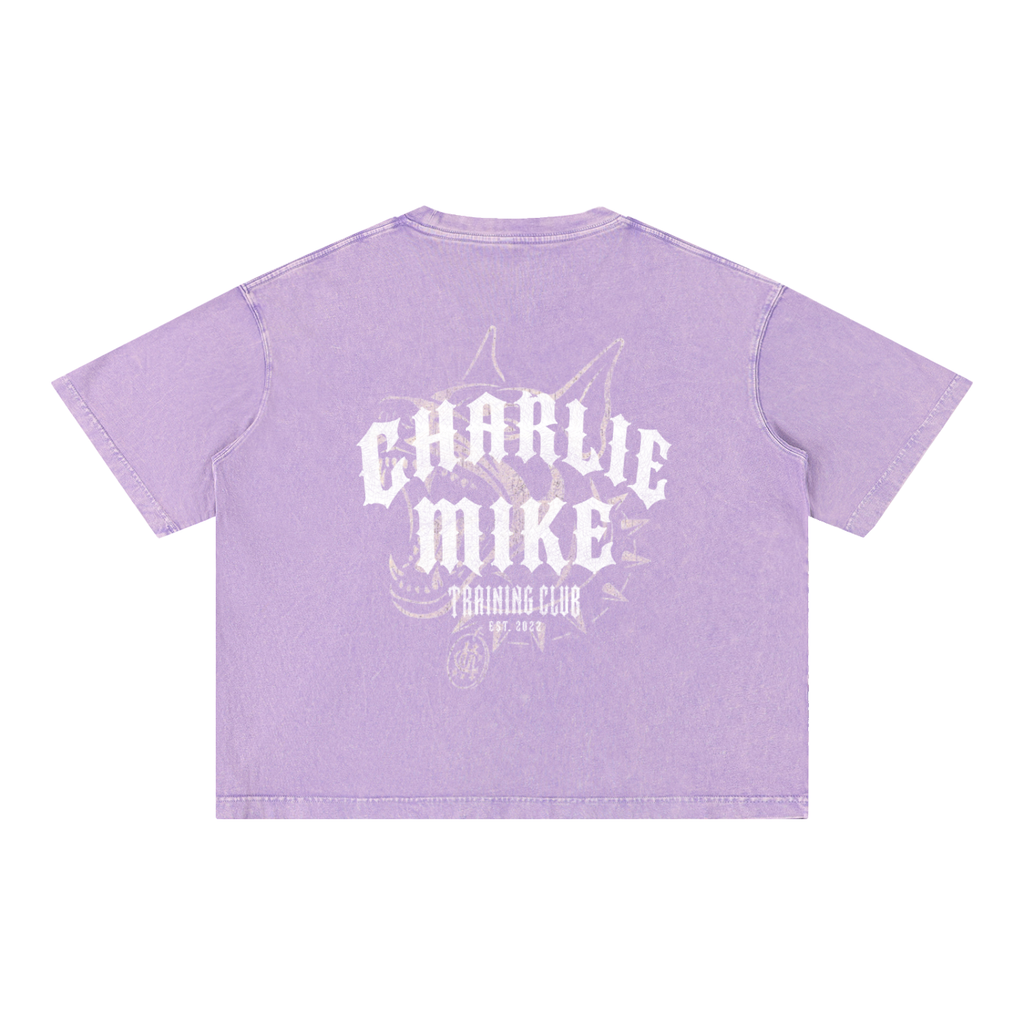 CMTC Washed Boxy Tee (Light Graphic)