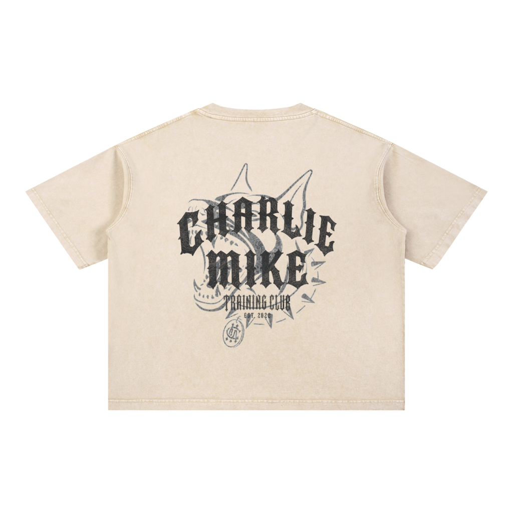 CMTC Washed Boxy Tee (Dark Graphic)
