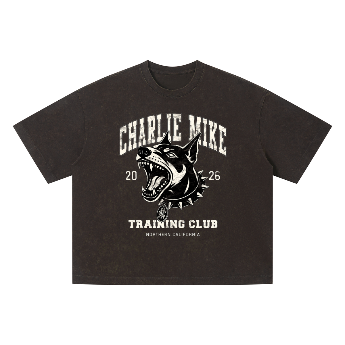 Kyro’s Washed Boxy CMTC Tee