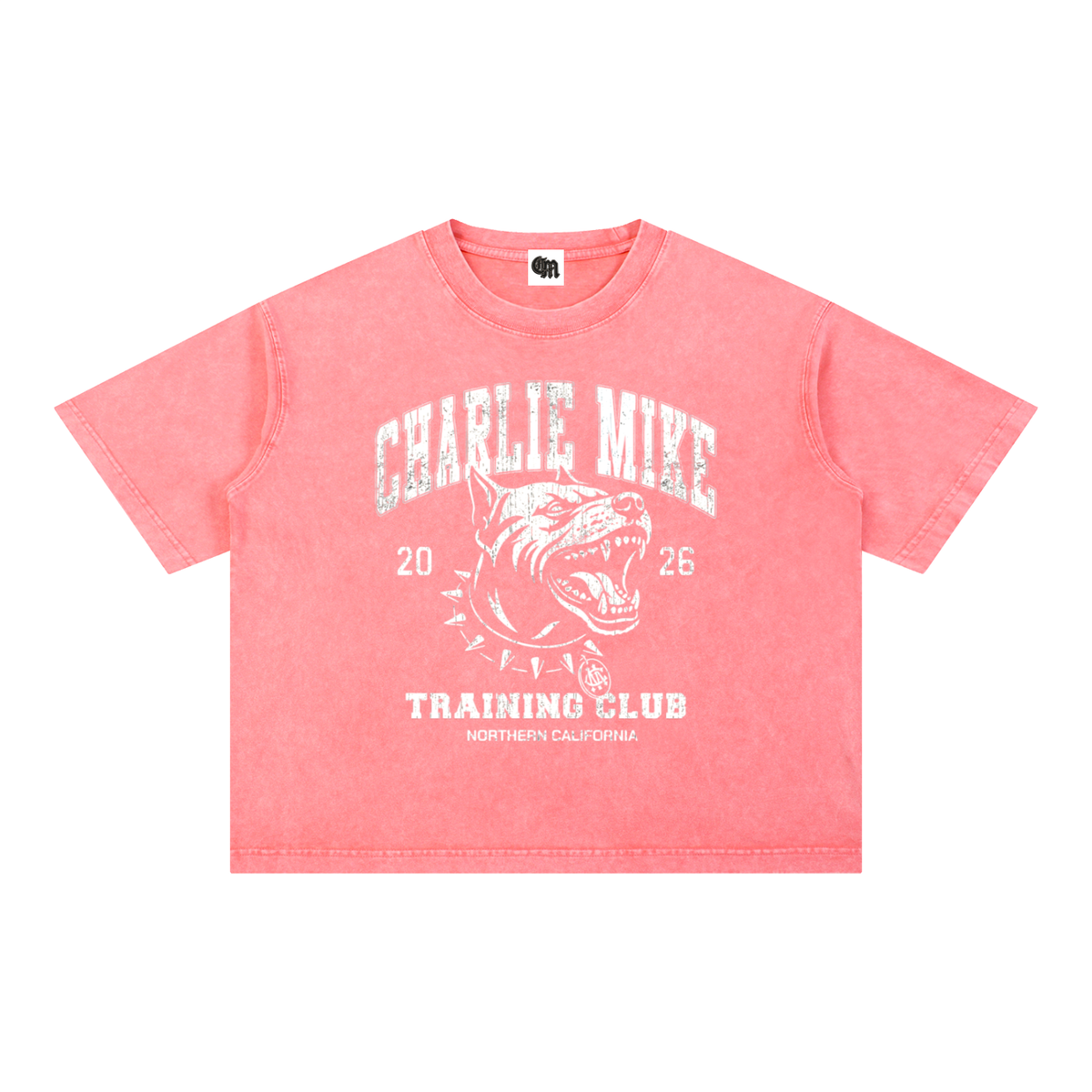 CMTC Washed Kaleah Tee