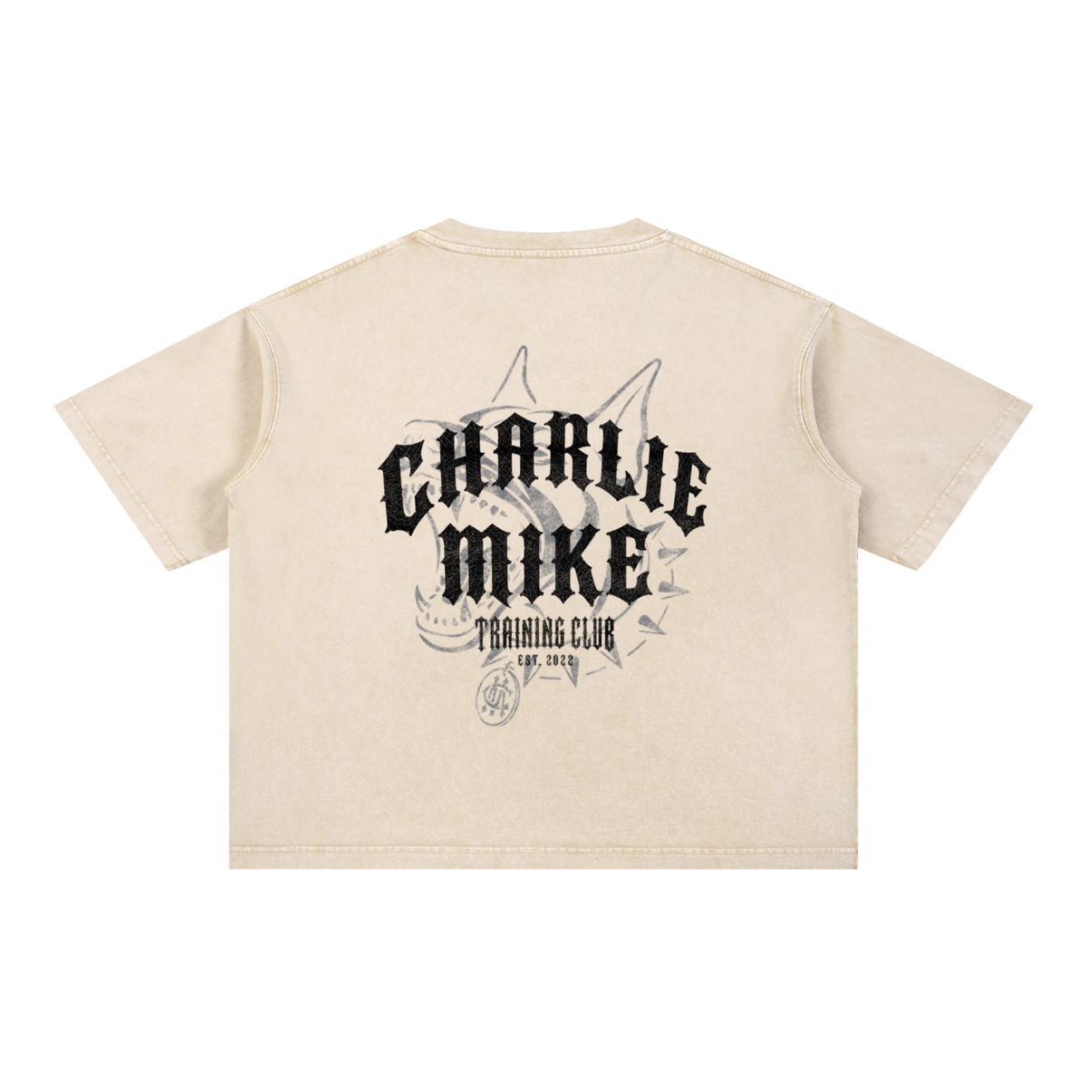 CMTC Washed Boxy Tee (Dark Graphic)