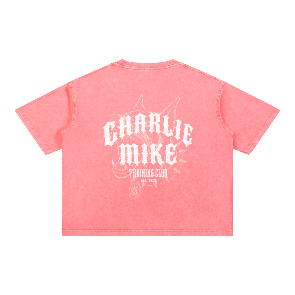 CMTC Washed Boxy Tee (Light Graphic)