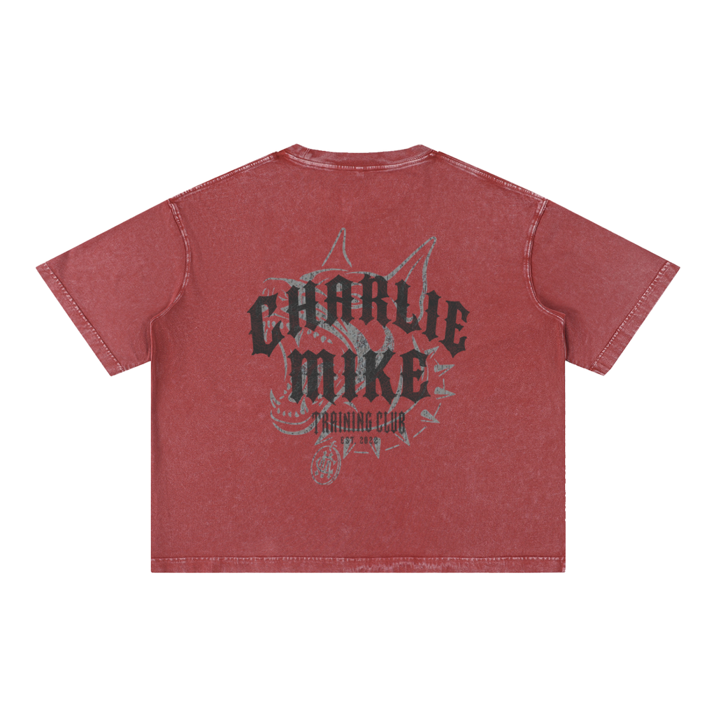 CMTC Washed Boxy Tee (Dark Graphic)