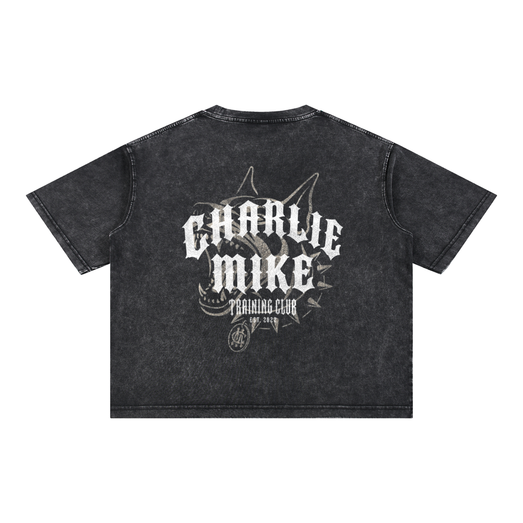 CMTC Washed Boxy Tee (Light Graphic)